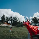 Magrappe 3* Вейзона